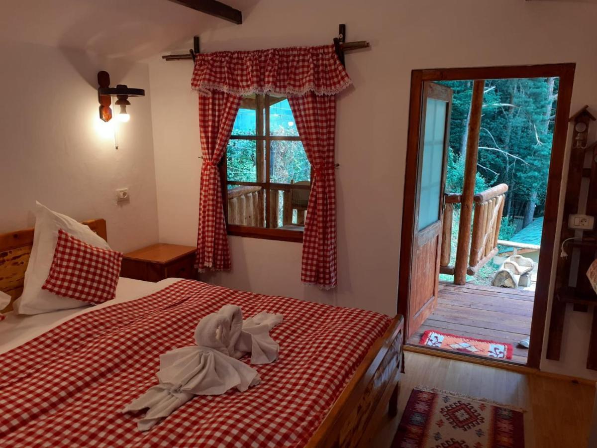 Cabanute Si Camping Dracula Capatineni-Paminteni Екстер'єр фото