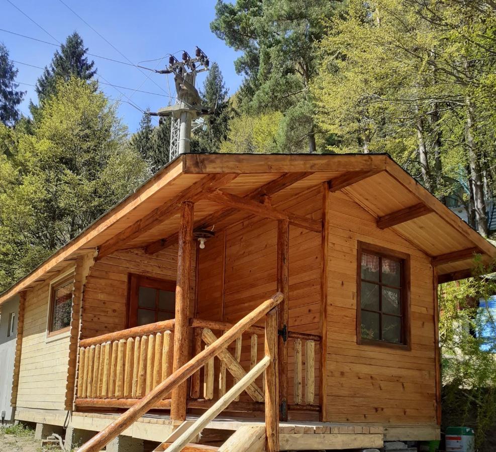 Cabanute Si Camping Dracula Capatineni-Paminteni Екстер'єр фото